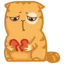 1706297932462.webp
