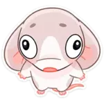 1706460372722.webp