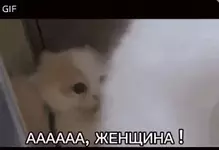 1707395571590.webp