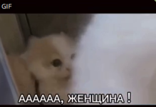 1707395571590.png