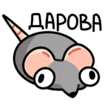 1711305650242.webp