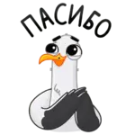 1712344017734.webp