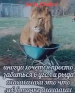 1712473332523.webp
