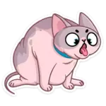 1731452355588.webp