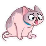 1731452355588.png