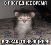 1732895500650.png