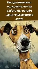 91d2dcabe2e4d69e192b063ed39fb2a4.webp