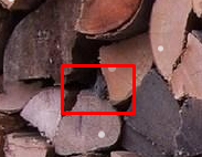 1734198569666.png