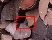 1734198569666.webp 1734198569666.webp