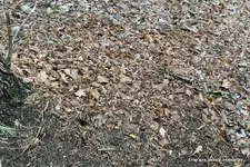 048fcf91be8af63cafc5449c99a664fe.webp 048fcf91be8af63cafc5449c99a664fe.webp