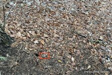 IMG_20241215_120450.jpg