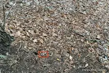 IMG_20241215_120450.webp IMG_20241215_120450.webp