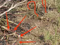 IMG_20241216_010315.webp IMG_20241216_010315.webp