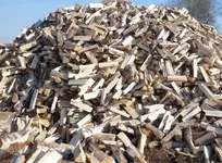 1611997678_912921727.webp 1611997678_912921727.webp