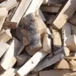 1734408931110.webp 1734408931110.webp