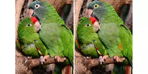 03_1576515626.jpg 03_1576515626.jpg