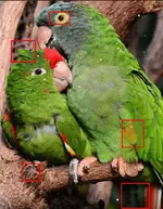 1734584080967.webp 1734584080967.webp