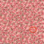 IMG_20241221_125427.webp IMG_20241221_125427.webp