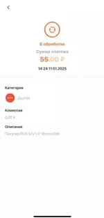 Снимок экрана 2025-01-11 224247.webp