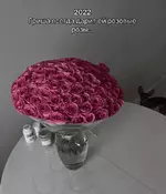 1737050667099.png 1737050667099.png