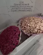 1737050696489.png 1737050696489.png