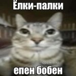 7dd2a31b-7381-4861-87e0-8375cb9f859e.jpeg