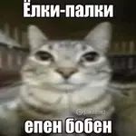 7dd2a31b-7381-4861-87e0-8375cb9f859e.webp 7dd2a31b-7381-4861-87e0-8375cb9f859e.webp