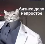 1738857430260.webp