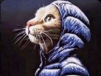 IMG_3602.jpeg