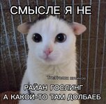 IMG_0673.jpeg
