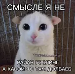 IMG_0673.jpeg