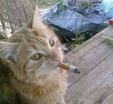 IMG_4582.jpeg