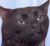 1RFIEnFGkwFuYGq_mUwrrdq-pqymh6omlsYXB_Yyrxfvd_iNBuemQ3vxSEcz1NnmEcal-otZG79Yt_RjA8CspiZW.webp