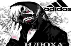 IMG_5392.jpeg
