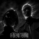 Со всеми тенями.webp