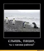 1755635733904.webp