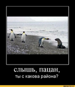 1755635733904.png