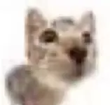 1760969400594.webp