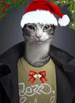 A57C0259-8DB9-492C-807D-60D93CC17960.webp A57C0259-8DB9-492C-807D-60D93CC17960.webp