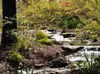 Снимок экрана 2025-12-27 141500.webp