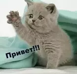 1775765980429.webp 1775765980429.webp