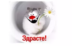 1775766025655.webp 1775766025655.webp