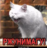 1779030796843.webp 1779030796843.webp
