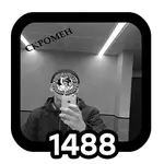 19.webp