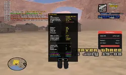 sa-mp-010.webp