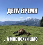 80b98357d29da9c2a72ed0fef3f232ce.webp