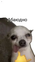 1787493946151.webp