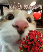 1790016953144.webp