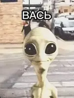1791231322611.webp