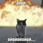 1792012036380.webp